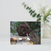 Vrede! Briefkaart (Staand voorkant)