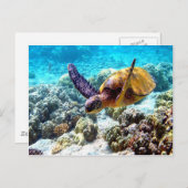 Vrede en vrede in Hawaï Briefkaart (Voorkant / Achterkant)