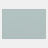 Vrede en Vreugde Vlinder Inpakpapier Vel (Voorkant 2)