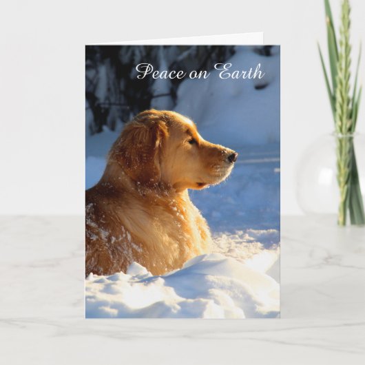 Vrede Feestdagen Kaart (Voorkant)