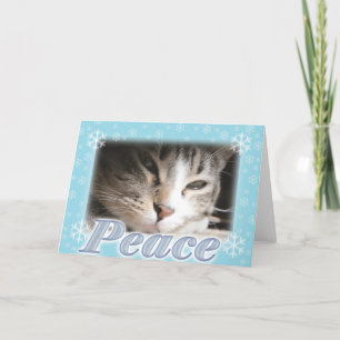 Vrede Feestdagen Kaart