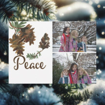 Vrede in Kerstmis van de Natuur Vakantie 2 de