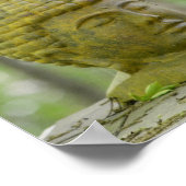 vrede komt van binnen boeddha poster (Hoek)