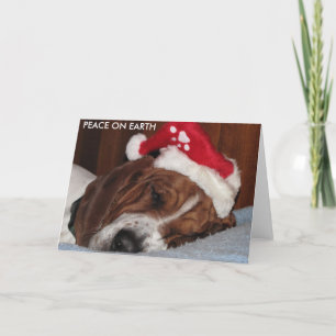 VREDE OP DE KAARTEN VAN DE AARDE