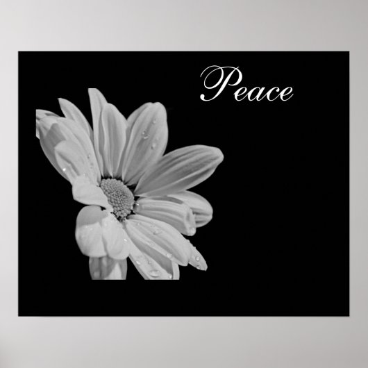 Vrede Poster (Voorkant)