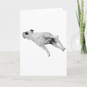 Vrede zij met uw poten kaart