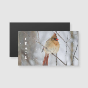 Vredes Winter Kardinaal Foto Magneet Kaart