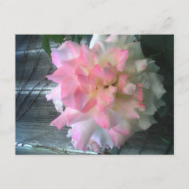 vredesbriefkaart briefkaart