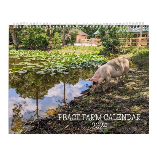 VREDESKALENDER 2024 BOERDERIJ KALENDER (Hoes)