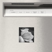 VredesRoos Magneet (Insitu (Vaatwasser))