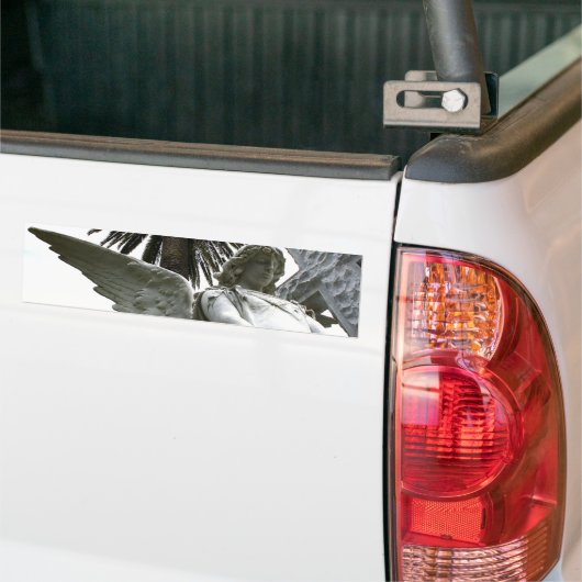 Vredesval Bumpersticker (Op Truck)