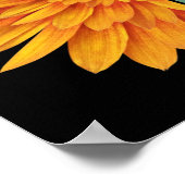 VREDESVERLIES HOPGELIJKHEID POSTER (Hoek)