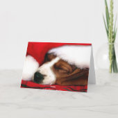 VredesWenskaart Feestdagen Kaart (Achterkant)