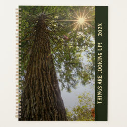 Vredig bos met gouden licht planner