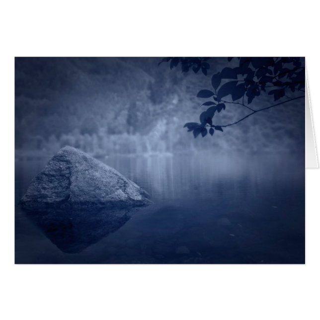 Vreedzaam Bos (Voorkant Horizontaal)