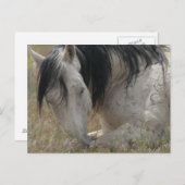 vreedzaam briefkaart (Voorkant / Achterkant)