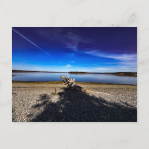 Vreedzaam Landschap met Drijfhout Blauwe Lucht Briefkaart