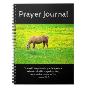 Vreedzaam Palomino Paard Gebed Journaal Notitieboek