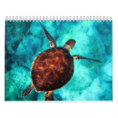 Vreedzaam Zee Schildpadden Ocean Marine Life Kalender (Hoes)