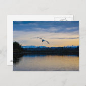 Vreedzame avond briefkaart (Voorkant / Achterkant)