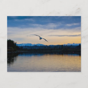 Vreedzame avond briefkaart