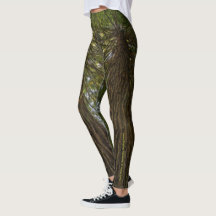 Vreedzame Bos Met Gouden Licht Foto Legging