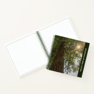 Vreedzame bos met gouden licht foto schets   notitieboek