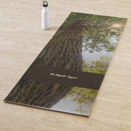 Vreedzame Bos Met Gouden Licht Foto Yoga Mat