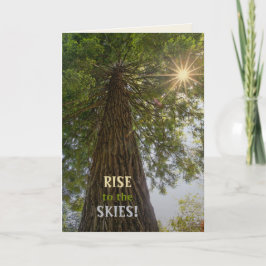 Vreedzame bos met gouden licht natuurfoto kaart