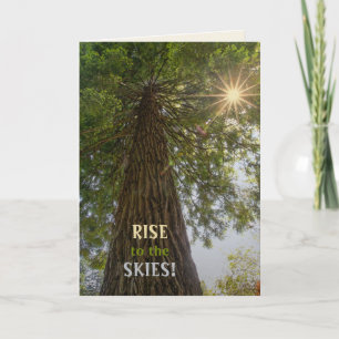 Vreedzame bos met gouden licht natuurfoto kaart