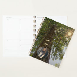 Vreedzame bos met gouden licht zonnestraal foto planner