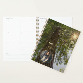 Vreedzame bos met gouden licht zonnestraal foto planner
