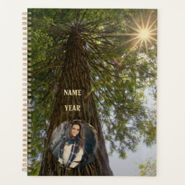 Vreedzame bos met gouden licht zonnestraal foto planner