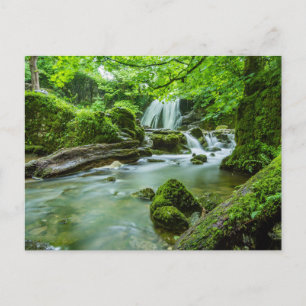 Vreedzame Bos Waterval Foto Briefkaart