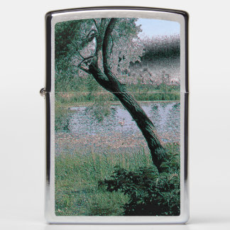 Vreedzame dag bij de Pond in de gepolijst Stone Zi