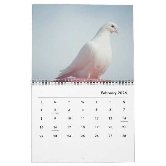 Vreedzame duiven en elegante duiven Natuur geïnspi Kalender (Feb 2026)