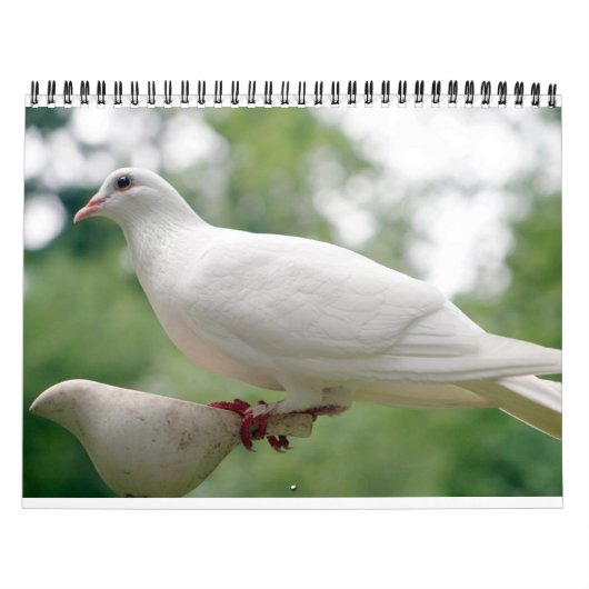 Vreedzame duiven en elegante duiven Natuur geïnspi Kalender (Hoes)