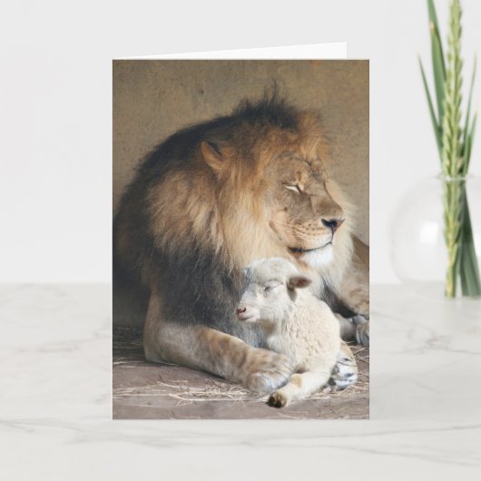 Vreedzame feestdagen kaart (Voorkant)