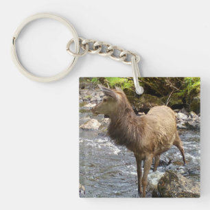 Vreedzame Hoogland Jonge Rode Hertenbok Zachtaardi Sleutelhanger