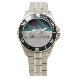 Vreedzame IJsbeer Arctische Natuur Illustratie Horloge