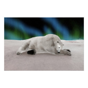 Vreedzame IJsbeer Arctische Natuur Illustratie Perfect Poster