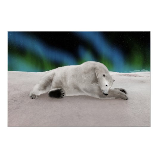 Vreedzame IJsbeer Arctische Natuur Illustratie Perfect Poster (Voorkant)