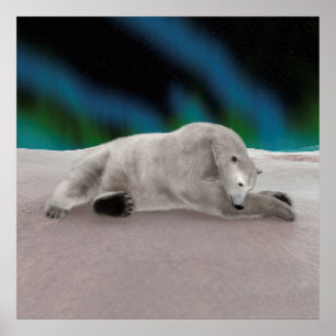 Vreedzame IJsbeer Arctische Natuur Illustratie Poster