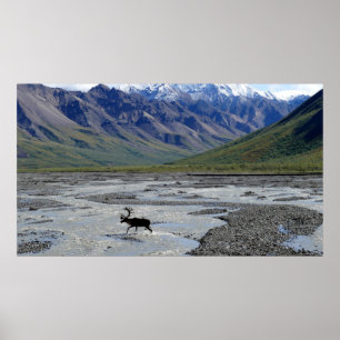 VREEDZAME LANDSCHAP MET REINDEER POSTER