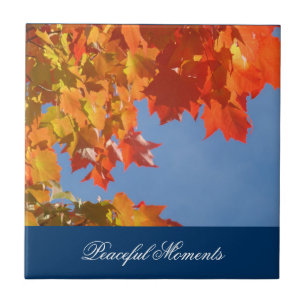 Vreedzame Momenten! decoratieve kunst Tegels Blauw Tegeltje