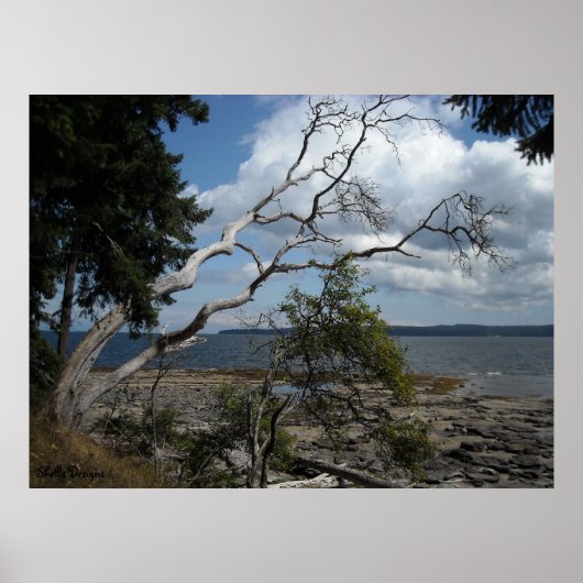 vreedzame momenten poster (Voorkant)