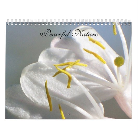 Vreedzame Natuur Kalender (Hoes)