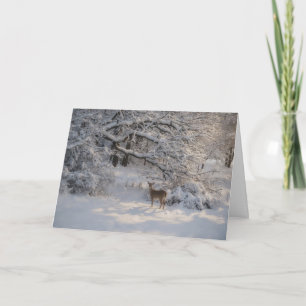 Vreedzame natuur scène herten sneeuw kerstkaart kaart