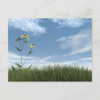 Vreedzame stenen - 3D rendering