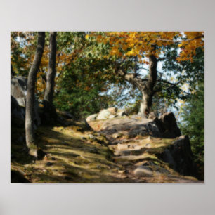 Vreedzame Woodland Path Natuur Orton Art Poster